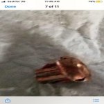 48C8CA2B-11F0-4E04-8C0F-4002AA9E4E48.jpg 48C8CA2B-11F0-4E04-8C0F-4002AA9E4E48.jpg