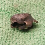 7mm 140gr Trophy Bonded 3.jpg