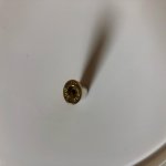 IMG_5634.jpg IMG_5634.jpg