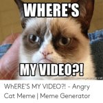 wheres-my-video-mermegenieraor-net-wheres-my-video-angry-cat-52766641.jpg