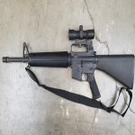 colt sporter.jpg
