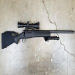 win mod 70 stealthII.jpg win mod 70 stealthII.jpg