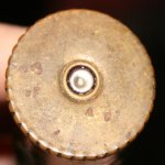 Shell 005.jpg