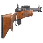 Scout 450 Bushmaster.jpg