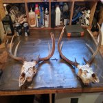 627 phone photos 146.jpg