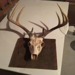 CR90 PH4 Pictures 176.jpg