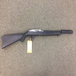 TS Ruger 1022.jpg