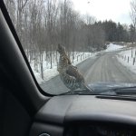 March Photos 175.jpg
