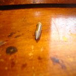 DSC09769.JPG
