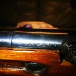 IMG_20200210_194911.jpg IMG_20200210_194911.jpg