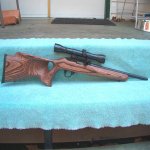 RUGER 10-22 SHORTIE.jpg