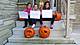 WIN_20151026_150038.jpg