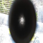 20170928_184216_resized.jpg