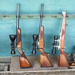 July_20_2010_1.jpg July_20_2010_1.jpg