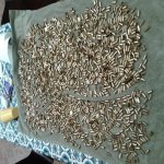 20200417_123552.jpg 20200417_123552.jpg