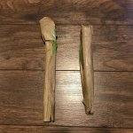 IMG_3232.jpg IMG_3232.jpg