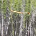IMG_3184.jpg