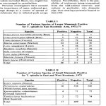 20200518_105119.jpg
