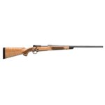 maplemag.jpeg