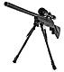34660 extended on rifle.jpg 34660 extended on rifle.jpg