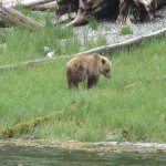 IMG_5092.jpg