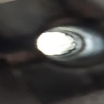 105995808_258167362274258_6903947629719774044_n.jpg