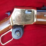 cheyenne2.jpg