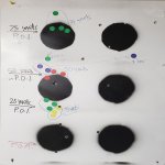 Range Day Trapdoor_.25.jpg