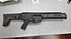 bushmaster.jpg bushmaster.jpg