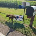 20200830_120257.jpg 20200830_120257.jpg