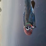20200919_070159.jpg
