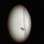 IMG_20201020_0841416.jpg