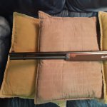 20201101_171348.jpg 20201101_171348.jpg