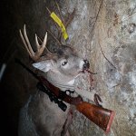20201109_182735.jpg