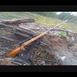 Screenshot_2020-11-13-09-18-26.jpg Screenshot_2020-11-13-09-18-26.jpg