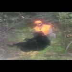 Screenshot_2020-11-13-09-43-39.jpg Screenshot_2020-11-13-09-43-39.jpg