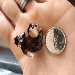 20201113_094229.jpg 20201113_094229.jpg