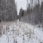 20201110_112726.jpg