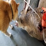 20201110_134919.jpg