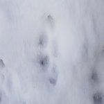 20201114_102948.jpg