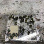 IMG_4181.jpg IMG_4181.jpg