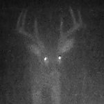 buck.jpeg