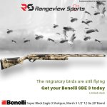 Benelli SBE 3-9[1].jpg