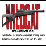 wildcat3.jpg