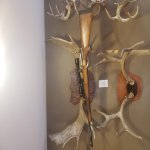 20201128_162437.jpg 20201128_162437.jpg