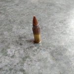 What Cartridge is This.jpg