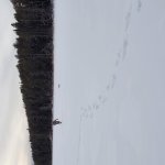 20201220_161329.jpg