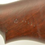 Screen Shot 2020-12-28 at 8.40.36 AM.jpg