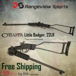 Chiappa Little Badger, 22LR copy.jpg