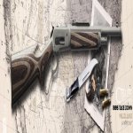Chiappa1886TD4570_web-01.jpg